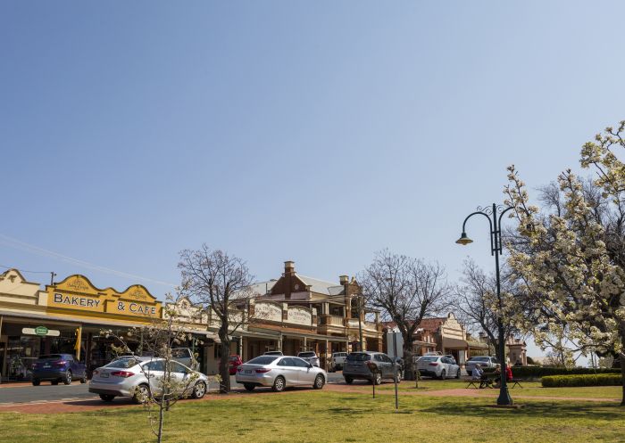 Streetscapes in Coolamon